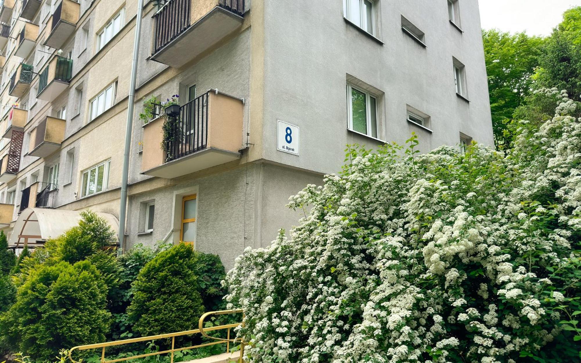Vista Ugorek